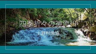 四季折々の神流川(かんながわ)〜群馬県 上野村漁協〜