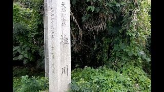 世界で2か所 プエルトリコと沖縄にしかない塩水の川 塩川 Shiokawa Salt River Okinawa Japan