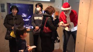 ４Ｋ クリスマスナイトビュー2016　なかがわ水遊園　C0057