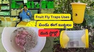 పండు ఈగ బుట్టలు ఇప్పుడు మన స్టోర్లో | Fruit fly traps in our stores for veg and fruit gardens