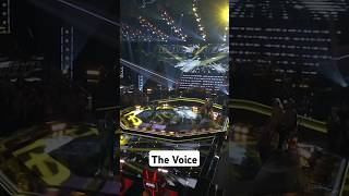 The Voice - Austyns Stancil Wowed Everyone \