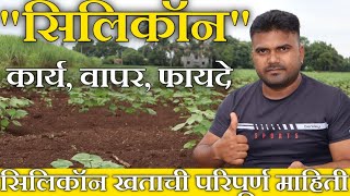 #सिलिकॉन खताचे कार्य, वापर आणि फायदे! / silicon khat / uses, works, benefits of silicon fertilizer