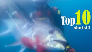 TOP 10 SHOTS BEST SHOTS  PESCA SUB Compilation 2023