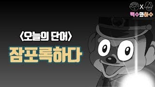 당신이 절대로 들어보지 못한 단어 #12 : 잠포록하다 [백수와하수]