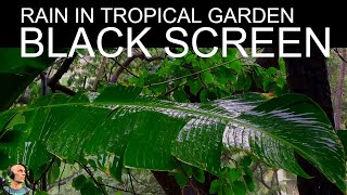 Asleep In 5 Minutes with Heavy Rain At Night in Tropical Garden, Rain NO THUNDER Black Screen, Rain