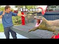 I bought $20,000 lizards For My Zoo !