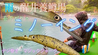 【エリアトラウト】醒井養鱒場、ミノーイングで遊ぶ【trout】【管釣り】