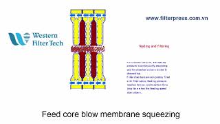 feed  core blow  membrane squeezing