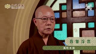 源自佛教的成語「盲龜浮木」: 智悟法師講解和開示