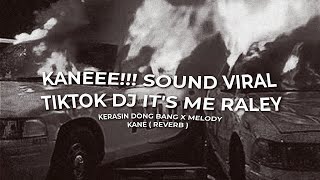 KANEEE!!! SOUND VIRAL TIKTOK DJ IT'S ME RALEY KERASIN DONG BANG X MELODY KANE ( REVERB )