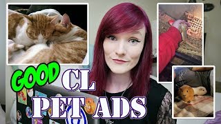 Only Talking About Good Rehoming Ads! | Craigslist Pet Ads | Munchie's Place