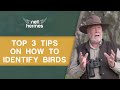 Top 3 tips on how to identify birds