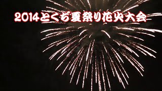 2014とくぢ夏祭り花火大会 ②