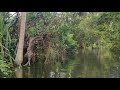 boating in poovar to golden sand beach through the mangrove forest.