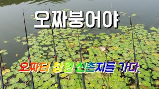 창원 신촌지 붕어낚시