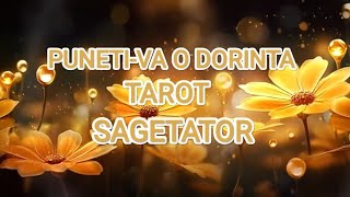 🌞🌞🌞 SAGETATOR 🍀🍀🍀O DORINTA SE REALIZEAZA 🥳🥳🥳 MANIFESTATI MIRACOLUL IN VIATA VOASTRA 🌈🌈🌈#sagetator