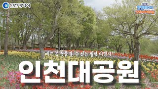 인천시ㅣ인천대공원ㅣ#2023인천미디어크리에이터