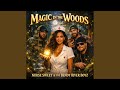 Magic In The Woods