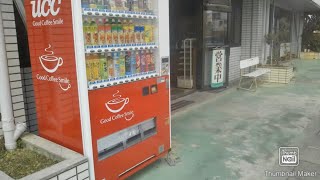 【沖縄観光】Japanese humour、｜沖縄いいね、沖縄をもっと楽しむ、沖縄旅行、沖縄移住｜lunchbox Japanese bento