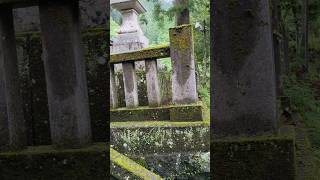 20240713高知県梼原町川西路　三嶋神社⑬ 狛犬と神幸橋と梼原川#梼原町#三嶋神社#津野経高#神幸橋#梼原川