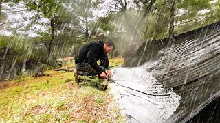 1-Hour Nonstop Heavy Rain,Rainstorm and Thunder Camping • For Relaxing,Resting and Sleeping