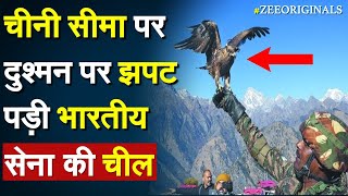 चीनी सीमा पर दुश्मन पर झपट पड़ी Indian Army की Eagles | Yudh Abhyas | Military Exercise