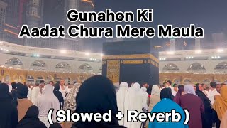 Gunahon Ki Aadat Chura Mere Maula ❤️ | Owais Raza Qadri | ( Slowed + Reverb ) | Heart Touting Naat🥺😭