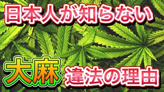 【９割の日本人が知らない】『大麻』が違法薬物となった本当の理由