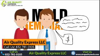 Mold remediation and Inspection in Texas- Air Quality Express LLC - 832-781-0105