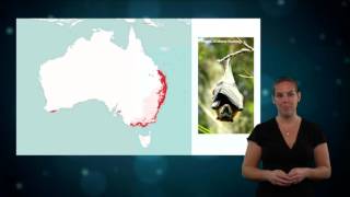 Module 1 - Introduction to Species Distribution Modelling