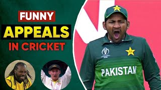 Top 10 Funny Appeals In Cricket History 🤣