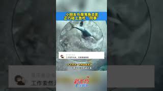 小朋友與魔鬼魚合影 正巧碰上魚吃“同事” #真實事件 #奇聞趣事 #新聞 #shorts