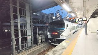 特急湘南　JR東日本　E257系　新宿駅6番線