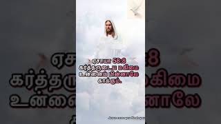 TodayBibleverse/ஏசாயா 58:8 கர்த்தருடைய மகிமை உன்னைப் பின்னாலே காக்கும்.