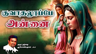 INDRAYA MANNA I இன்றைய மன்னா I 12.12.2024 - THURSDAY I REV. FR. AROKIA DOSS SDB I