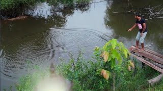 แทบไม่น่าเชื่อ!! ใช้สูตรนี้ หว่านแหหาปลา ได้ปลาเยอะจริง Cast Net Fishing