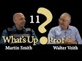 Walter Veith & Martin Smith - Double Blind, What Is The Agenda For The World? What's Up, Prof? 11