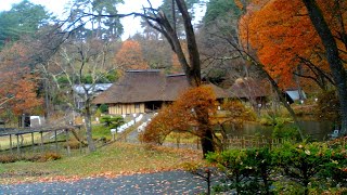 みちのく民俗村ライブ 2023.11.24 10:22