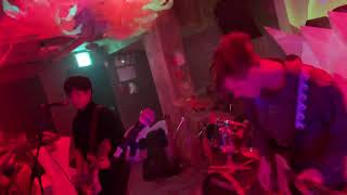 꼬리물기 Gorymurgy - Mammal tree @club temple 191129 서울 언더그라운드 페스티벌 @클럽템플