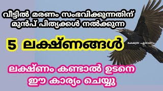 വീട്ടിൽ മരണം സംഭവിക്കുന്നതിന് മുൻപ് പിത്യക്കൾ നൽക്കുന്ന 5 ലക്ഷ്ണങ്ങൾ. jyothisham Malayalam.