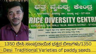 1350 ದೇಸಿ ಸಾಂಪ್ರದಾಯಿಕ ಭತ್ತದ ಬೀಜಗಳು / 1350 Desi  Traditional Varieties of paddy seeds  Kirugavalu