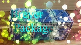 Breyer Package #1|МЕЧТА СБЫЛАСЬ |  ПРИКЛЮЧЕНИЯ МОДЕЛЬКИ