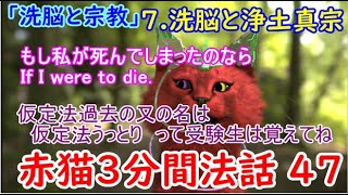 赤猫3分間法話 47 「洗脳と宗教」7 洗脳と浄土真宗