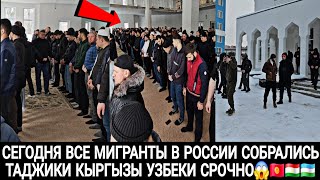 СЕГОДНЯ ВСЕ МИГРАНТЫ В РОССИИ СОБРАЛИСЬ ТАДЖИКИ КЫРГЫЗЫ УЗБЕКИ СРОЧНО СМОТРЕТЬ 😱🇰🇬🇹🇯🇺🇿💥