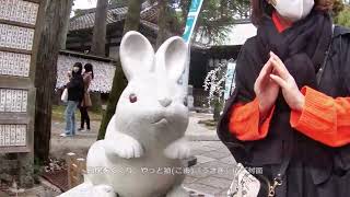 京都のうさぎの岡崎神社