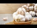 பூண்டு மருத்துவ நன்மைகள் garlic health benefits in tamil garlic health tips in tamil tamil news