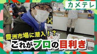 カメテレ潜入取材！！生鮮専門店本庄鮮魚のこだわりとは！？