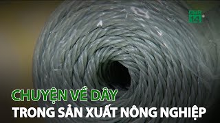 Chuyện về dây trong sản xuất nông nghiệp  | VTC14