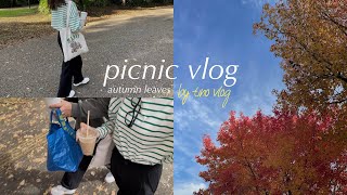 〔vlog〕秋のピクニック🧺🍂｜将来のことを書いてみる✍🏻｜紅葉がキレイな季節🍁