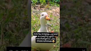 ചില അമ്മായിയമ്മ 😂😂 #subscribe #funny